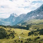 jakie-zwierzęta-żyją-w-alpach